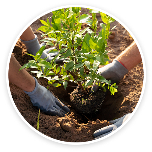 Eco Initiative Image